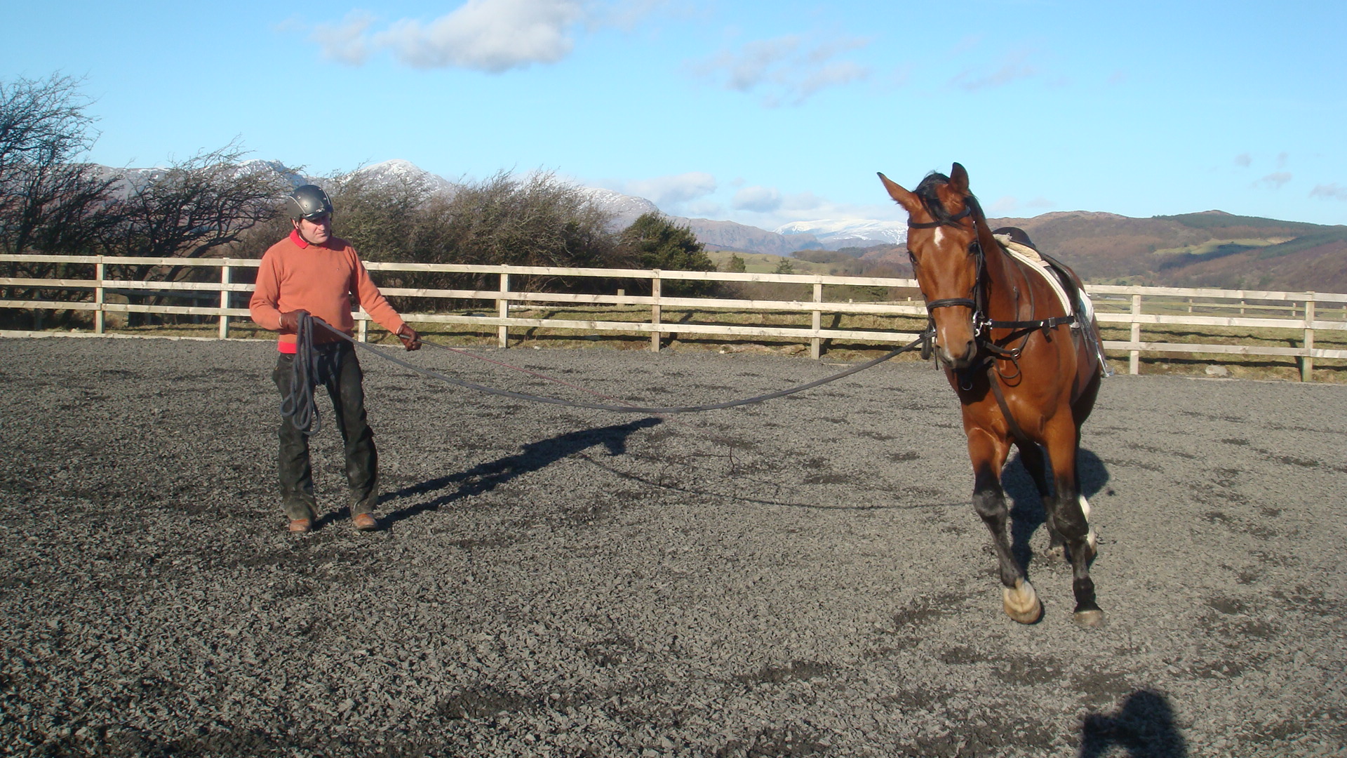 Sold Archives Page 3 of 6 Lakeland Equestrian Horse Diaries Lakeland Equestrian Horse Diaries