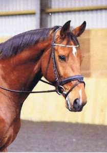 bobshead